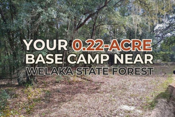 Your 0.22-Acre Base Camp Near Welaka State Forest